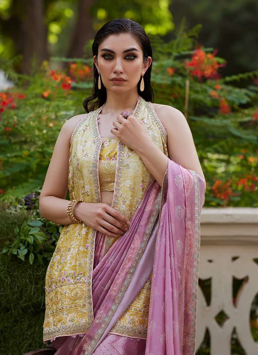 Iqala Saree, Blouse And Jacket